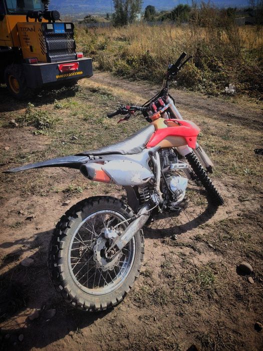 Avantis fx 250lux