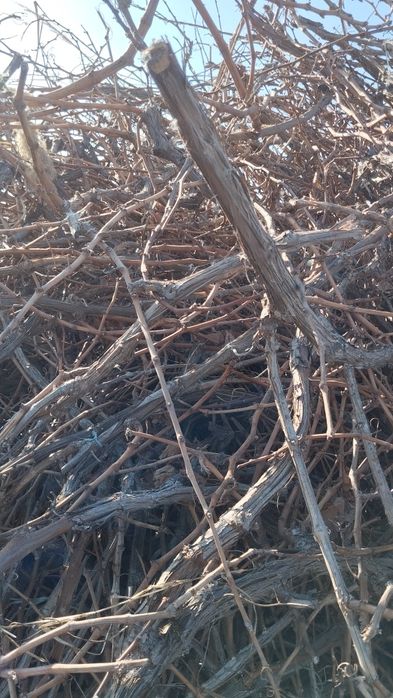 Арзон нархларда утин сотилади