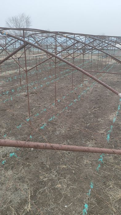 Теплица Жылыжай сатылады