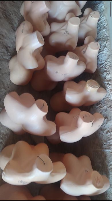 Ayollar maniki sotiladi