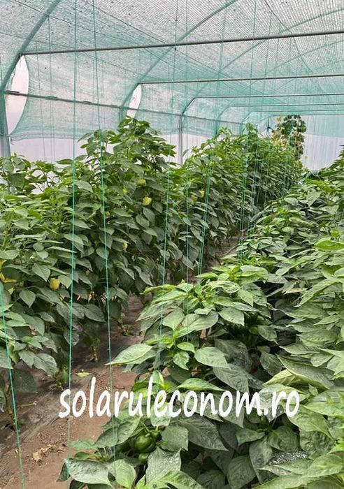 Solarii (sere) modulare din țeava zincată