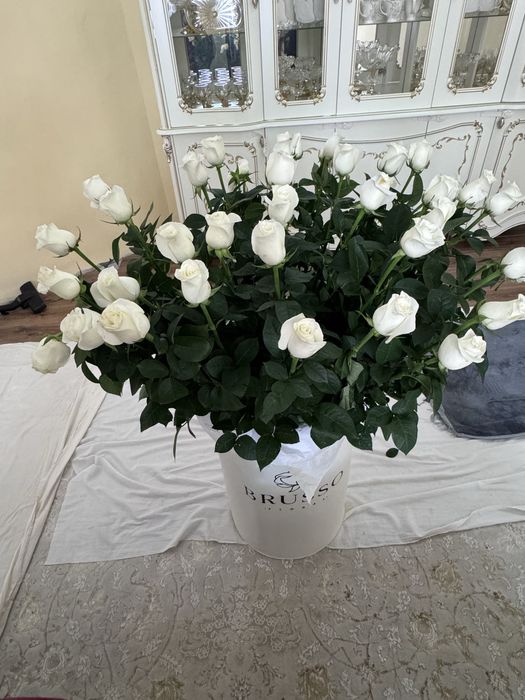 Гигант каробка с розой