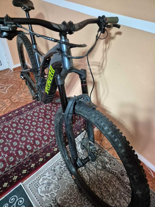 Specialized turbo levo 29 er