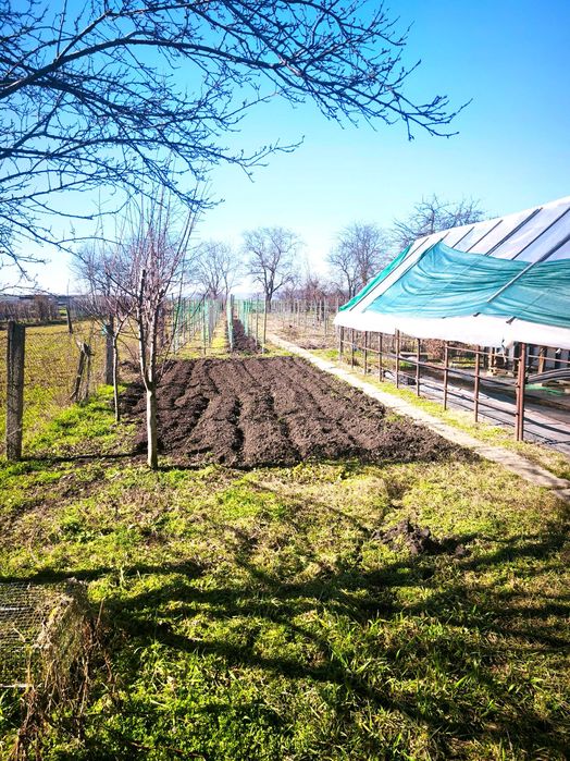 Casă și Afacere 1700 metri Agricolă/Sera de Familie in Lancram