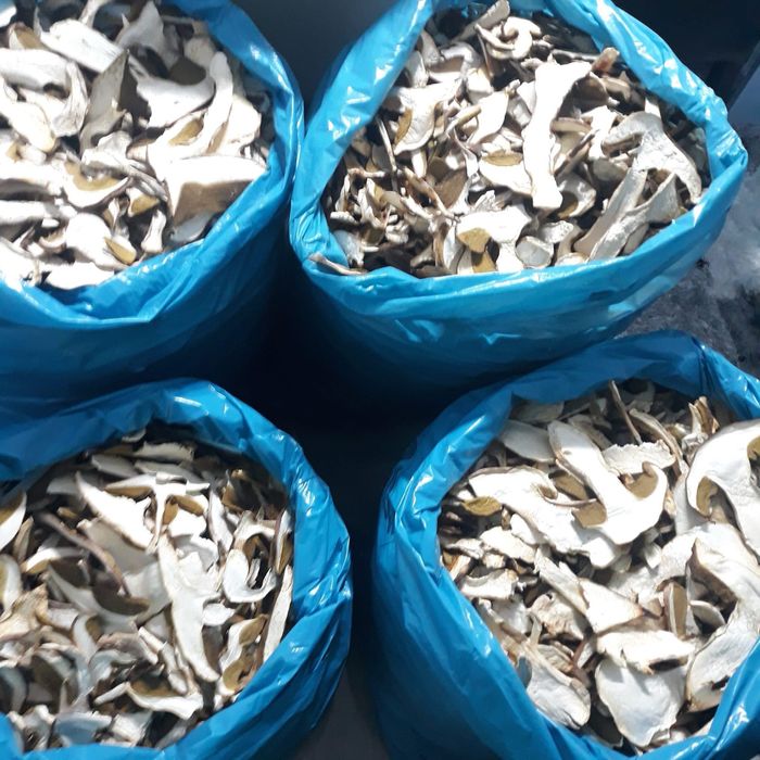 Hribi/Pitoance uscati calitatea 1/2 100% BIO