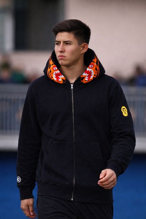 Bape Tiger zip-hoodie как у Дастана Сатпаева