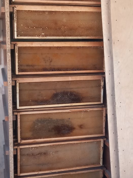 Рамка Суши для пчел   400тг