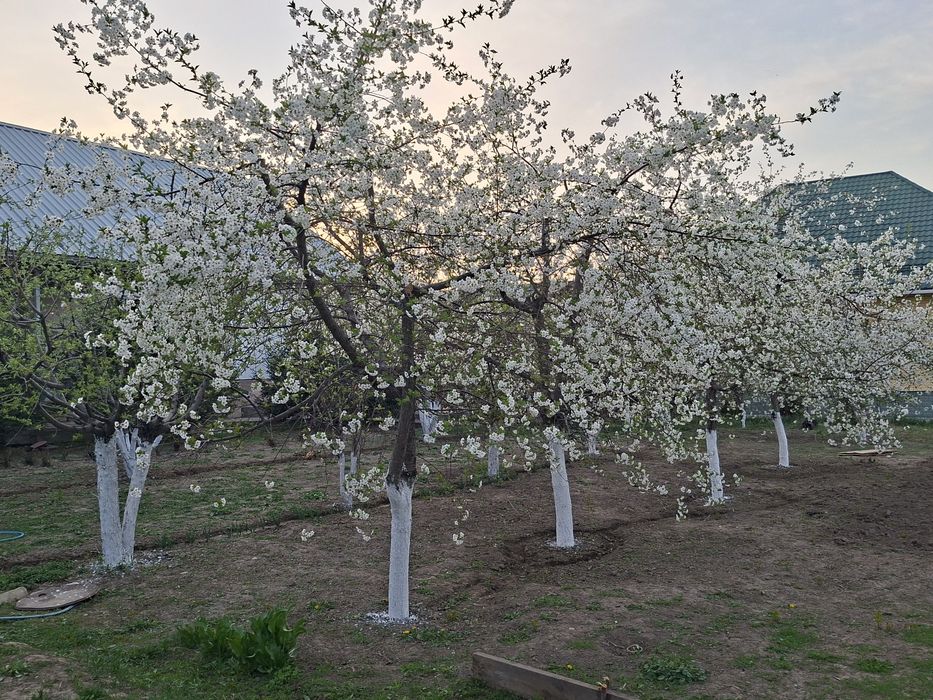 Продам дом в селе Байтерек Алексеевка