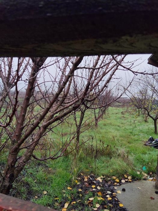 Vând teren 2645 mp Tudor Vladimirescu  Braila + 3 anexe