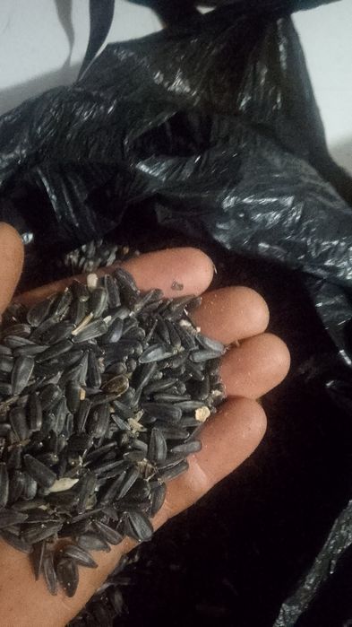 Продажа и закупаем