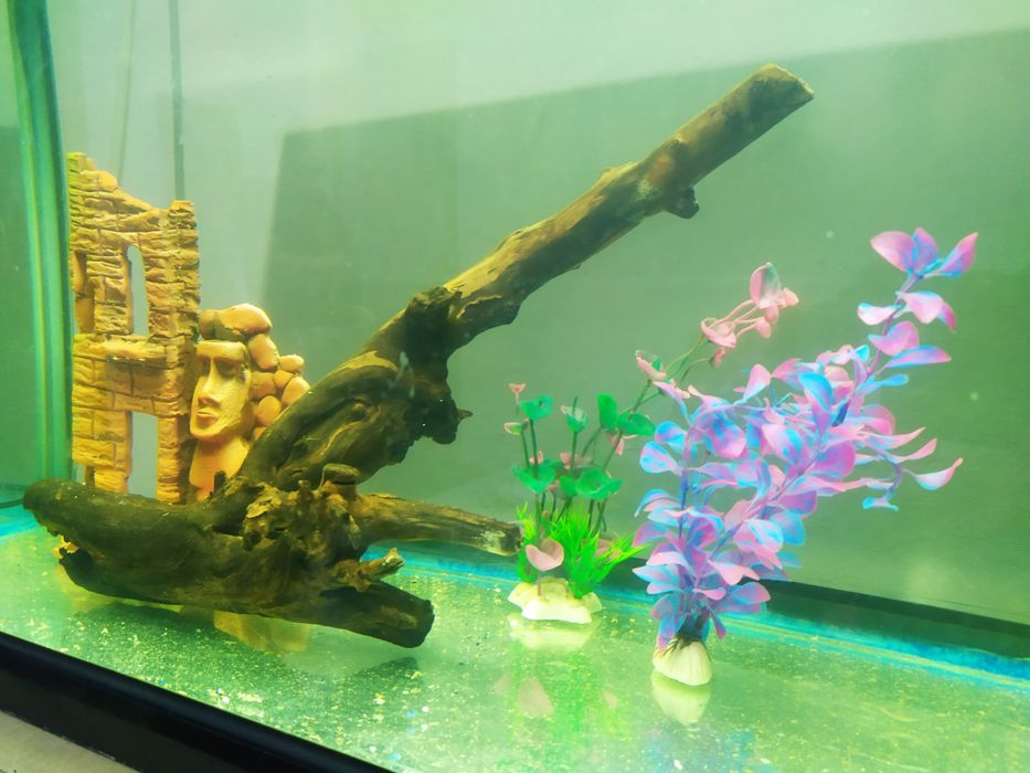 Коряга для аквариума.