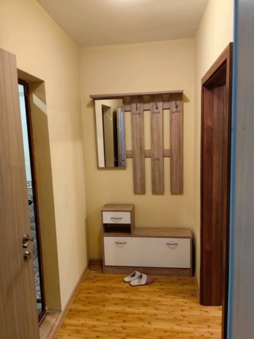 Дава се под наем Двустаен апартамент в София, Гео Милев - 55 кв.м за 597.21 € - Снимка #9