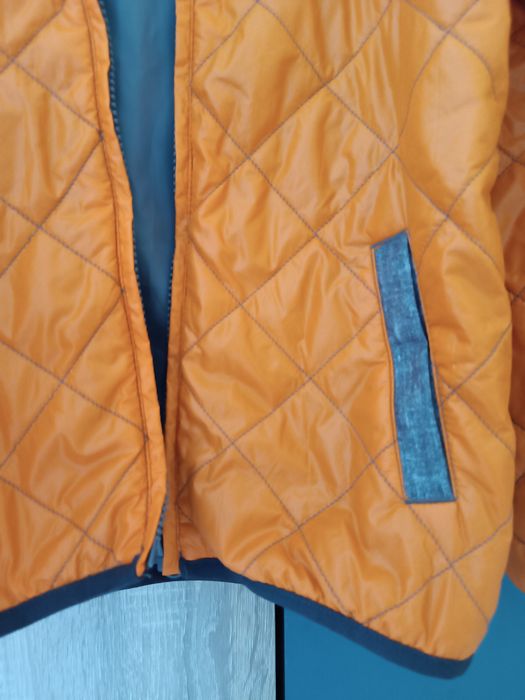 Прлетно- есенно яке 9 г.