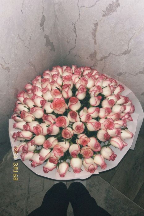 красивые цветы,роза 101 шт