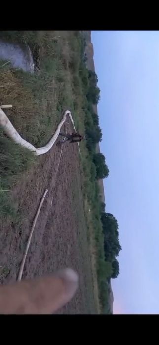 Матор помпа 200 мм