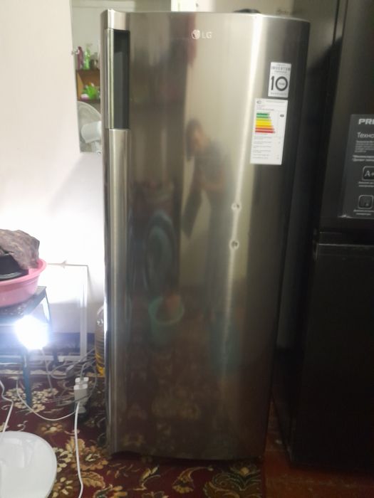 Элжи холодильник