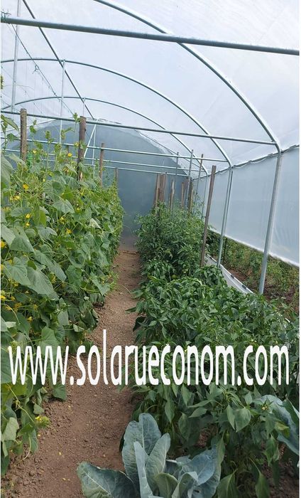 Solarii (sere) de gradina pentru cultivarea florilor sau legumelor