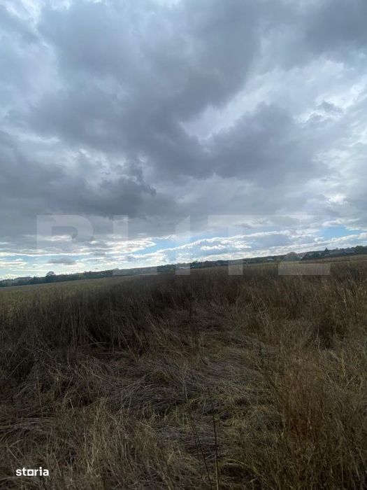 Teren extravilan, 2500 mp, zona Lucieni