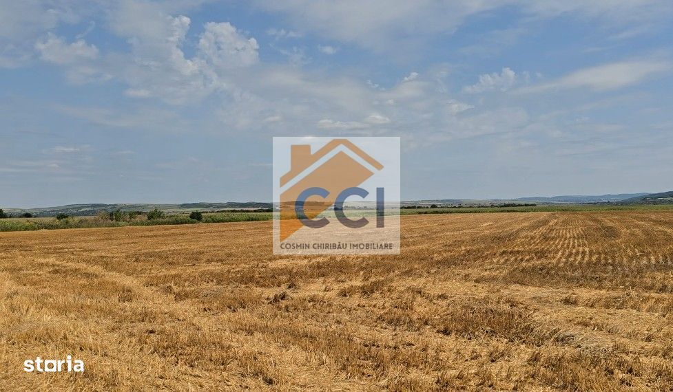Teren intravilan– 50.000 mp, Bacău, Șoseaua Hol