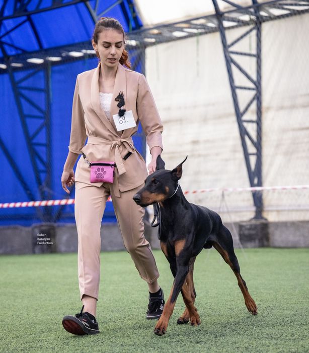 Доберман кабель Для Вязки