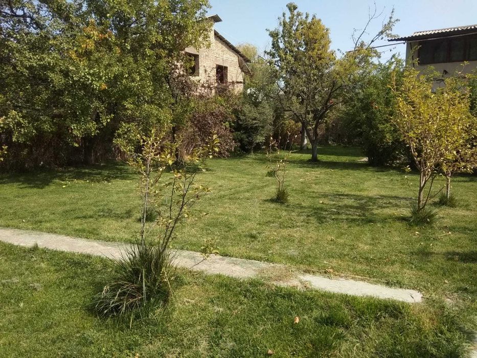 Дача не далеко от ТашМоря.