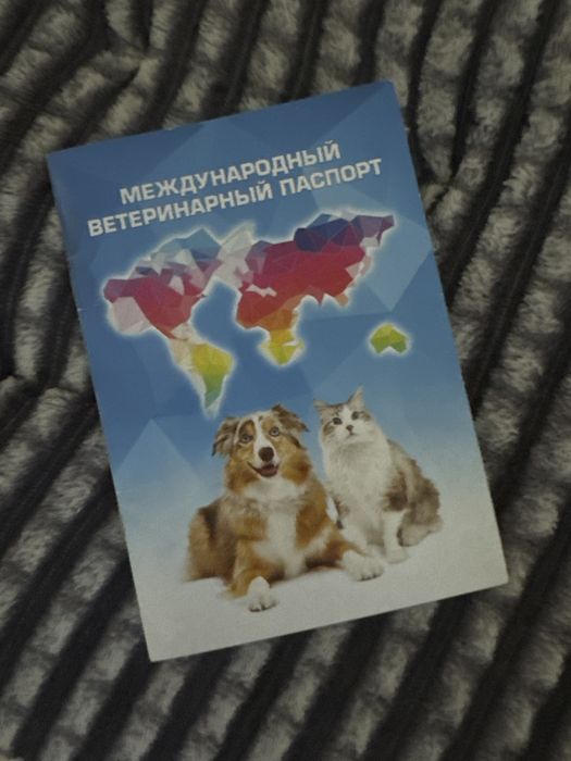 Мальчик для вязки
