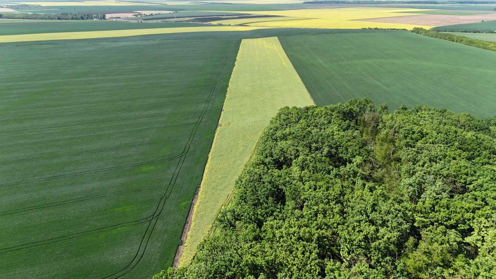 Vand teren extravilan Fundulea  83345 mp