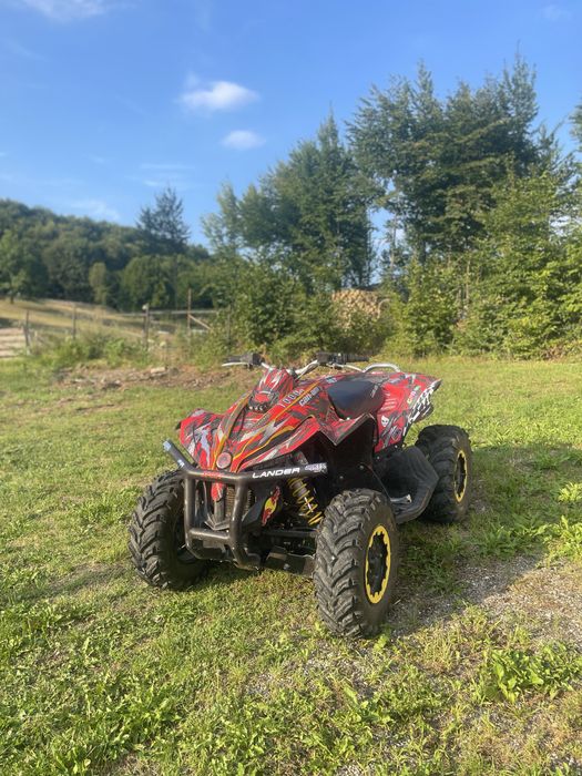 Can am renegade