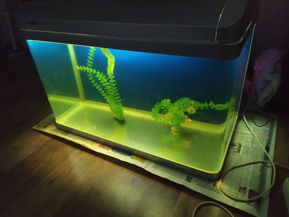 Заводской 156л JEBO.