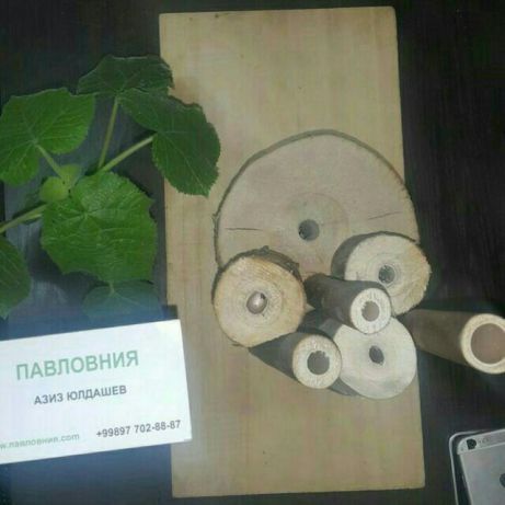 Павловния Оригинал