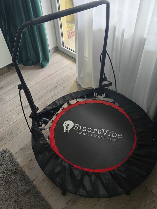 Titlu: Trambulină Fitness SmartVibe cu mâner reglabil  Stare excelenta