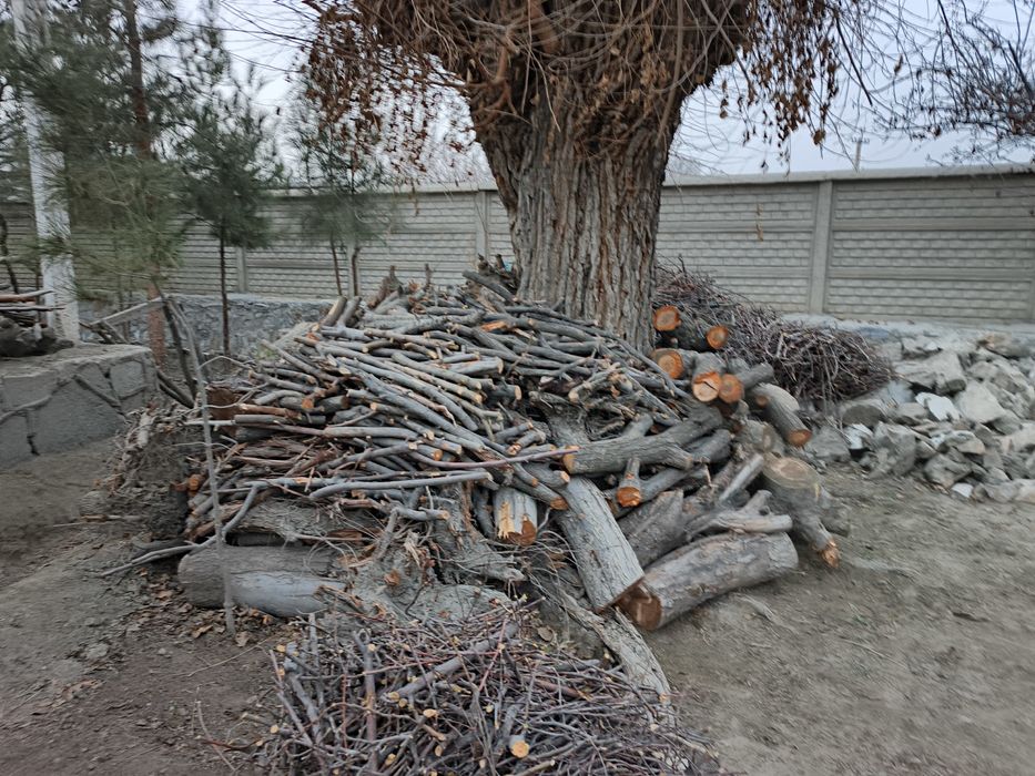 Bir ISUZU yuk moshin o'tin va kunda bor. Narxi 3 mln (bo'lishi shu).