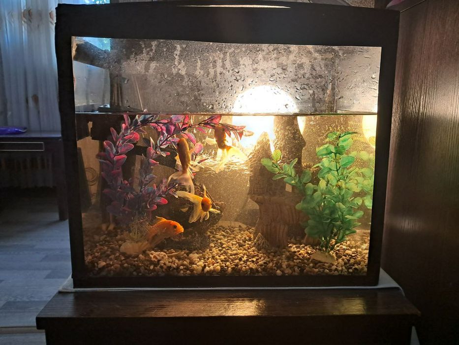 Продается аквариум вместе с рыбками