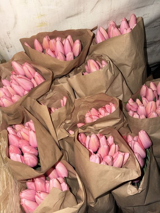 Тюльпаны в розницу