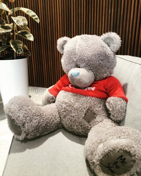 Медведь тедди фото Медведь тедди фото