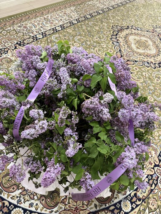 апрельски сирень 35.000тт