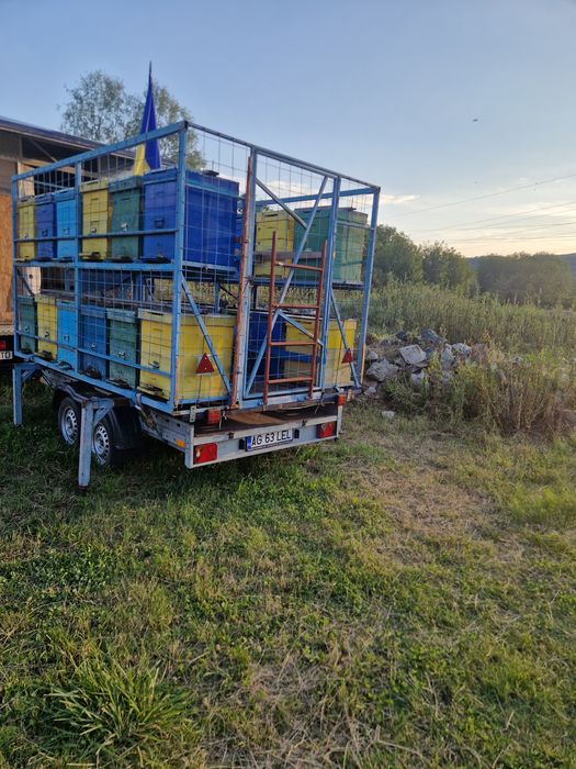 Vand familii   albine  împreună cu rastel si remorca