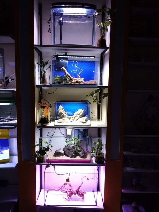 Аквариум аквариум