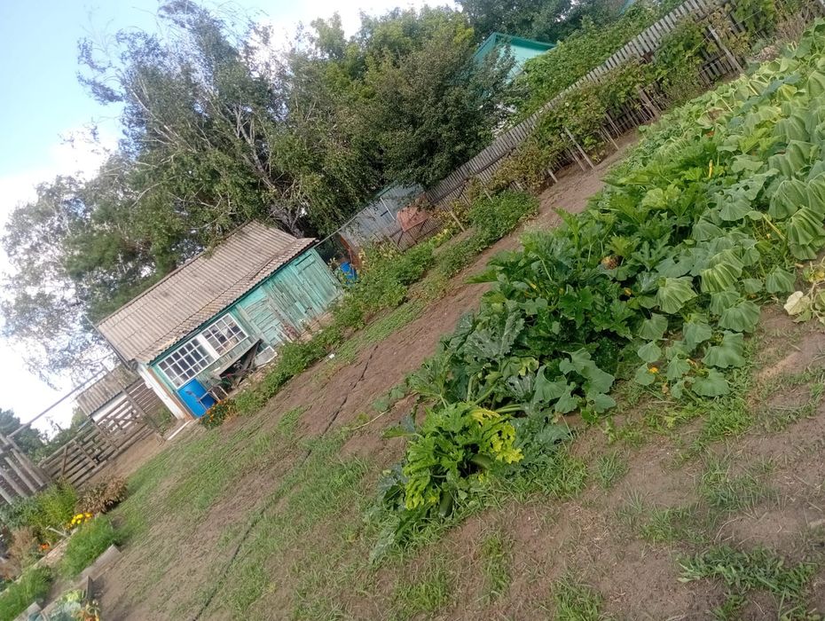 Продам дачу ПКСТ красно партизанское сообщество