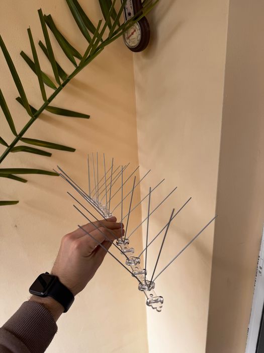 Шипове против птици