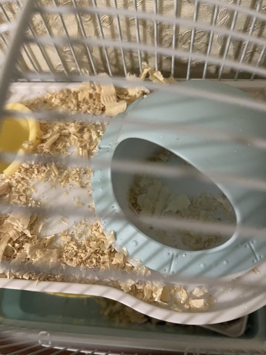 Клетка для хомяка!