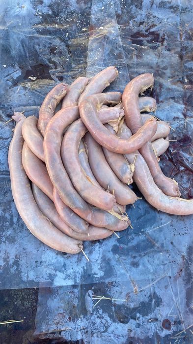 Әуесқойлардың фотолары