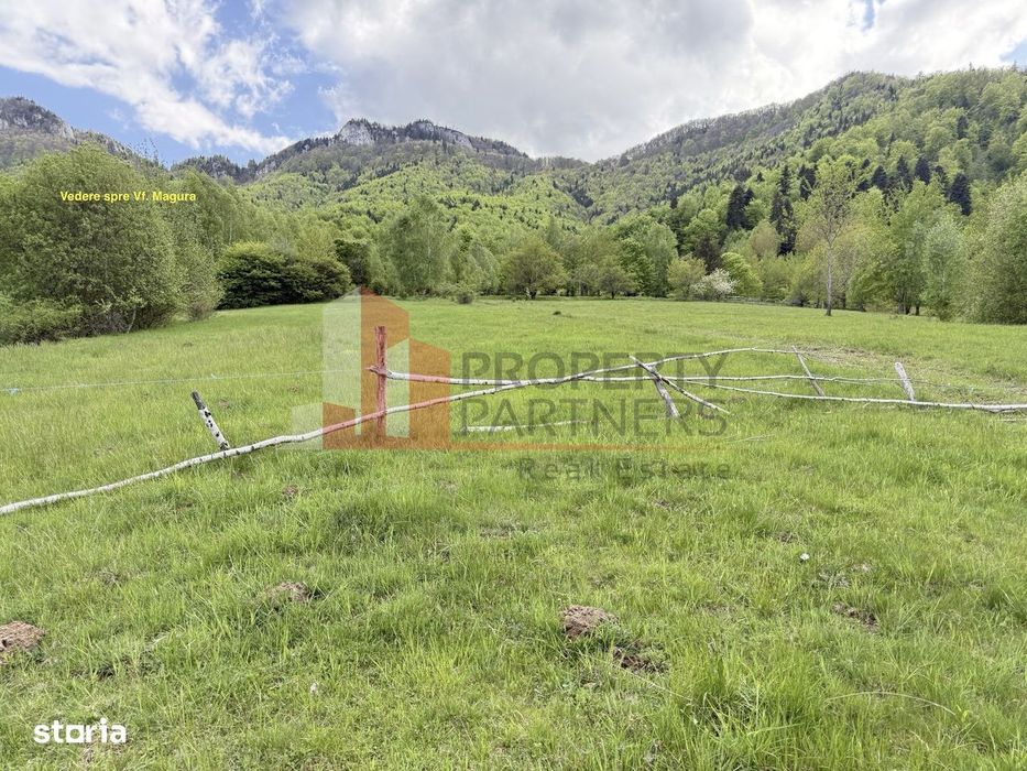 Teren intravilan 5.261 mp Tohănița | Deschidere 49 m | Utilități, lâng