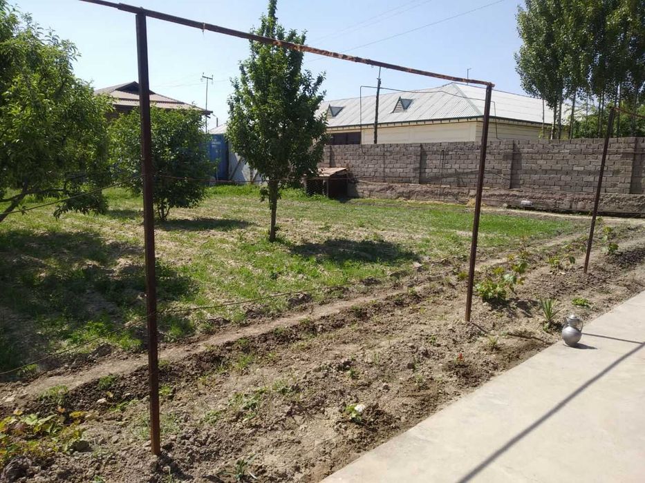 16 сотикли ховли сотилади ва таёр бизнес (мол фермаси) сотилади