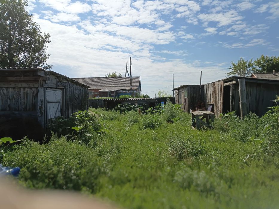 Продам дом село Новоалексеевка