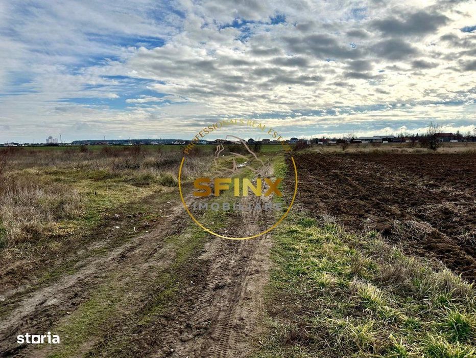 LOT de casa Tartasesti Primarie | teren cu potential