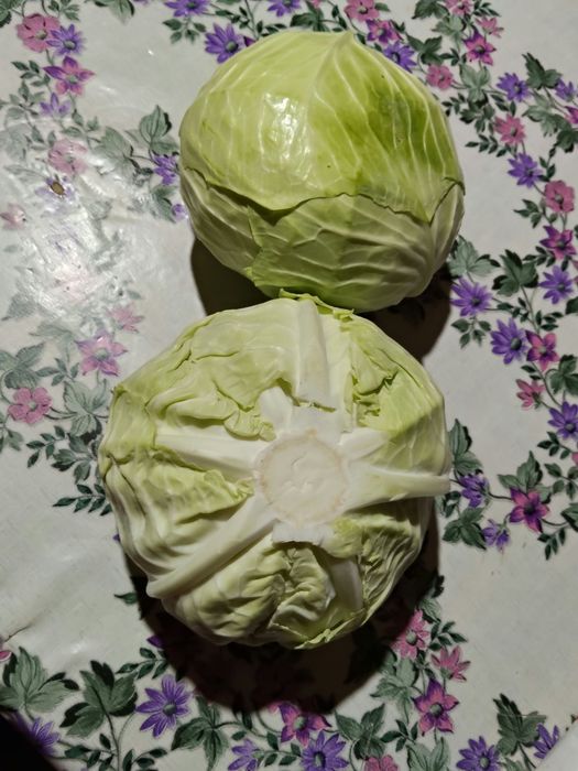 Varză cu frunză subțire