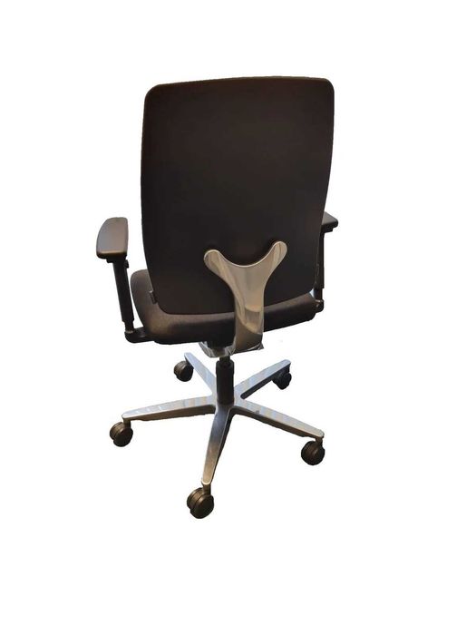 Scaun Ergonomic SEDUS EARLY BIRD EB-102