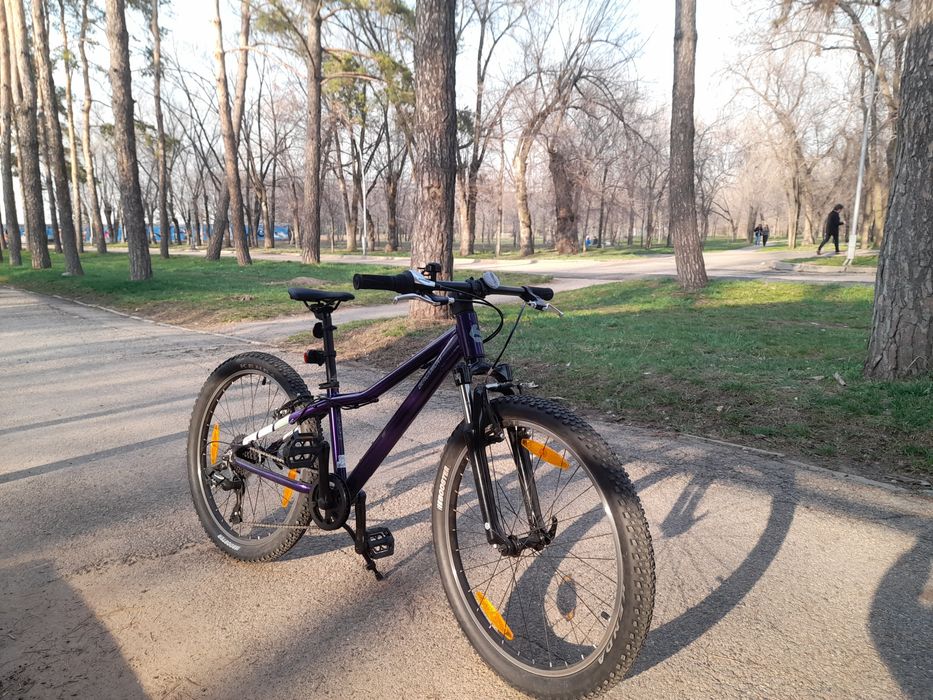 Велосипед Bergamont 24