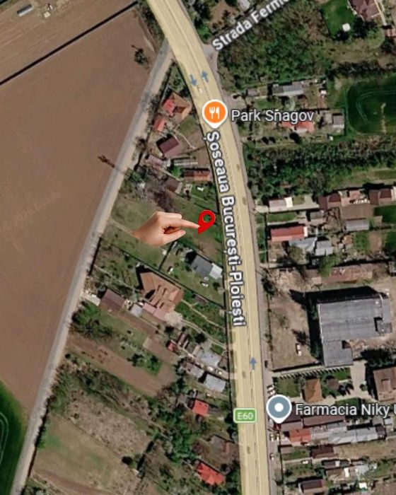 Teren intravilan 900 mp – deschidere 31 m la DN1 – Ciolpani, Ilfov